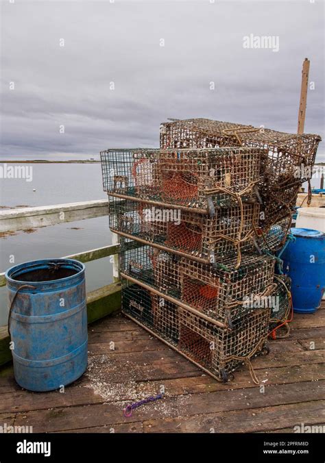 lobster potn|Lobster trap .